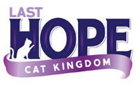 Last Hope Cat Kingdom